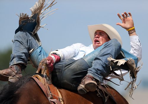 Dustin McPhee from Hanley, Saskatchewan, competes in the Bareback competition at the Morris Stampede, Saturday, July 21, 2012. Competitors try to stay on the bucking bronco for 8 seconds, and are judged. (TREVOR HAGAN/WINNIPEG FREE PRESS)
