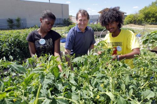 Winnipeg Harvest's David Northcott is flanked by Lavonne Alexander and Sampson Gebreyesus of the Youth for Eco Action Program. July 27, 2012  BORIS MINKEVICH / WINNIPEG FREE PRESS