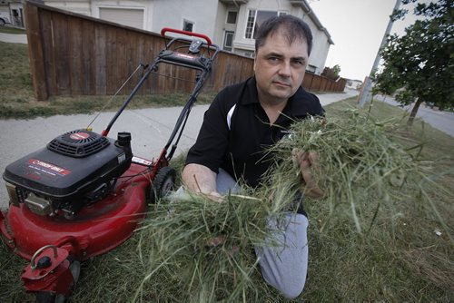 August 1, 2012 - 120801  -  Richard Hykawy has been charged by the city and is being taken to provincial court for not cutting the grass on city property that runs adjacent to his home Wednesday August 1, 2012. The city came out today and cut the grass.  John Woods / Winnipeg Free Press