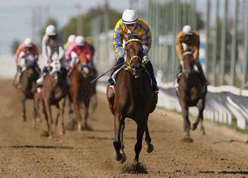 August 6, 2012 - 120806  -  Paul Nolan and Balooga Bull who led the pack from early on easily takes the Manitoba Derby at Assiniboia Downs Monday August 6, 2012.    John Woods / Winnipeg Free Press