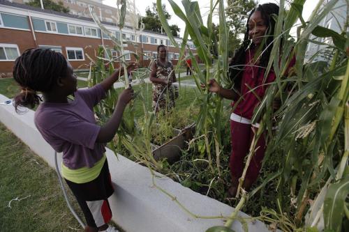 August 27, 2012 - 120827  -  (LtoR) Anasta Basiliwango with her mother Marie Louise (c) and her friend Amina Nziquheda tend to their garden in the newly painted Lord Selkirk Park Monday August 27, 2012.    John Woods / Winnipeg Free Press