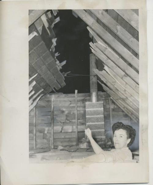 Ted Byfield/Winnipeg Free Press Archives St. James-air-crash Feb. 18 1957 Mrs. Mary Mair, 422 Collegiate St., examines her attic, where the roof was partially sheared off by the 4-ton Mitchell Bomber which crash landed in St. James on Sunday night. The RCAF plane ripped a 12 foot strip, from the roof immediately above the room in which she was standing.