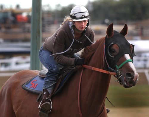 Alyssa Selman on Stormin Borealis at the Assiniboia Downs Thursday morning.   Al Beson story.     (WAYNE GLOWACKI/WINNIPEG FREE PRESS) Winnipeg Free Press  Sept. 6  2012