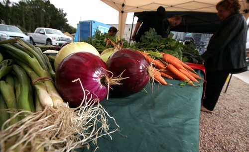 Farmer's market, organically grown, (but not certified organic) veggies at a north end farmer's market Friday. Lindsay Wiebe's story. September 7, 2012 - (Phil Hossack / Winnipeg Free Press)
