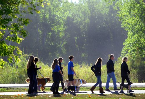 Brandon Sun A group starts their walk during the 11th annual Wag-A-Tail Walk-A-Thon, Sunday morning at Kin Park along First Street. The event is one of the main fundraisers of the year for the Brandon Humane Society, which is a no-kill shelter. (Colin Corneau)