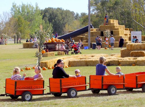 Brandon Sun Families play on the displays at Meandher Creek Farms, Sunday afternoon near Oak Lake. The farm turns a large field into a kid-friendly array of games and fun each autumn, and runs each weekend through to the end of October. (Colin Corneau)
