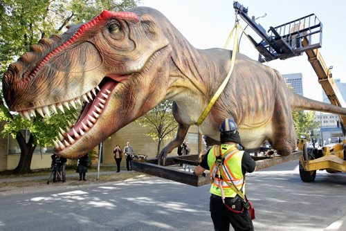 A life size replica of a T-Rex dinosaur is removed from its shipping container behind the Manitoba Museum on Lily Street. The animatronic dinosaur will be moved to the front of the museum after lunch and will be on display for the launch its new exhibition of Dinosaurs Unearthed (Oct. 6 - April 8, 2013).  120926 September 26, 2012 Mike Deal / Winnipeg Free Press