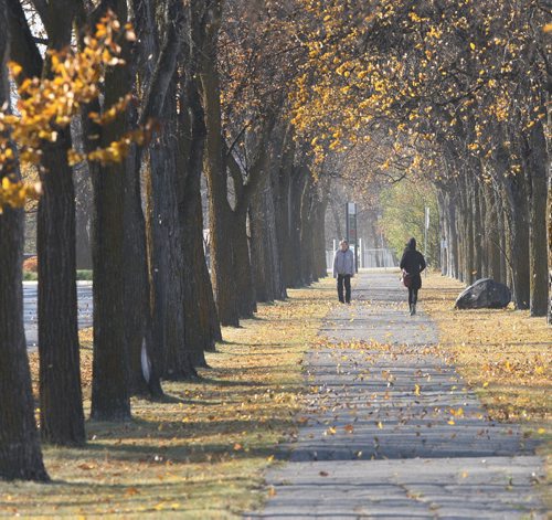 Heavy winds whips up leaves at Assiniboine Park Tuesday- Standup photo October 02, 2012   (JOE BRYKSA / WINNIPEG FREE PRESS)