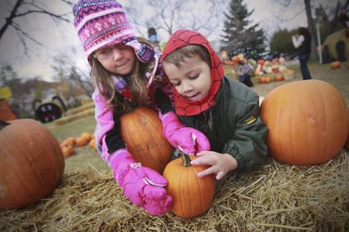 October 7, 2012 - 121007  - Katia Leon (5) helps her brother Gabriel (2) pick pumpkins with their family at Schwabe Pumpkins on Henderson Sunday October 7, 2012.  John Woods / Winnipeg Free Press