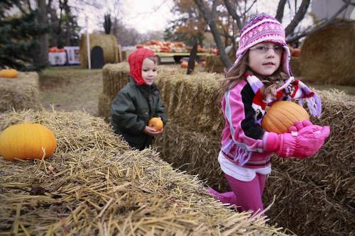 October 7, 2012 - 121007  - Two year old Gabriel Leon and his sister Katia (5) make their way through a maze after picking pumpkins with their family at Schwabe Pumpkins on Henderson Sunday October 7, 2012.  John Woods / Winnipeg Free Press