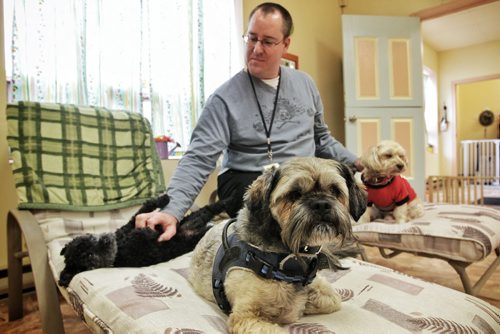 Garth Wilcox, co-owner of The Little Dog House, a small dog daycare and activity centre.   Dogs from left to right: Eddie, Chewie and Bruno.  121009 October 09, 2012 Mike Deal / Winnipeg Free Press