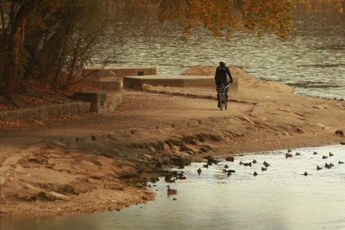 October 14, 2012 - 121014  -  A cyclist rides along the river trail at the junction of the Red and Assiniboine Rivers Sunday October 14, 2012. The locks at Lockport will be operator resulting in lower water levels south of Lockport. John Woods / Winnipeg Free Press