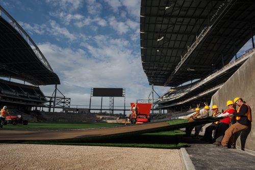 Workers tug on one of the final pieces of artificial turf that was laid down to at Investors Group Field Tuesday. The turf was laid down this week by the company FieldTurf and they will add 500 tonnes of rubber and sand to create the "infill" that reduces injuries on impact. Melissa Tait / Winnipeg Free Press