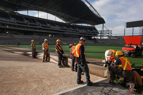 Workers sew together some of the final pieces of artificial turf that was laid at Investors Group Field. The turf was laid down this week by the company FieldTurf and they will add 500 tonnes of rubber and sand to create the "infill" that reduces injuries on impact. Melissa Tait / Winnipeg Free Press
