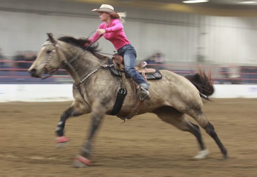 Brandon Sun Kelsey Wheeler makes her run during Thursday's barrel racing competition at the Wheat City Stampede at the Westoba Agriculture Centre of Excellence. (Bruce Bumstead/Brandon Sun)