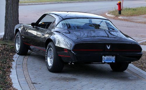 Dave Fraser's 1980 Firebird Formula Turbo.  October 17, 2012  BORIS MINKEVICH / WINNIPEG FREE PRESS