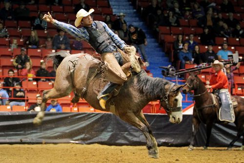 Brandon Sun 19102012 Kirk Thompson of Beausejour, Man tries to hold on during the Saddle Bronc event on day two of the Manitoba Finals Rodeo at the 2012 Wheat City Stampede at Westman Place on Friday evening. (Tim Smith/Brandon Sun)
