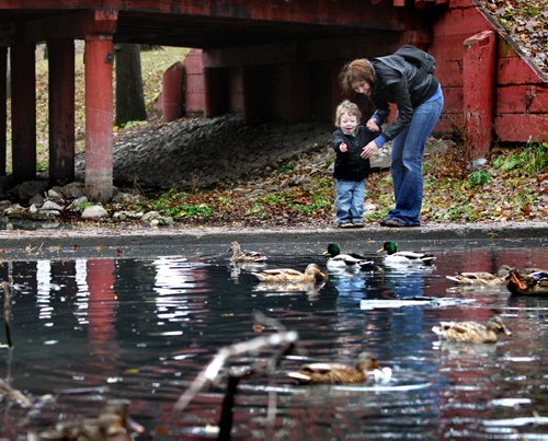 Twenty one month old Atticus Mutimer carefully walks along the creek in Kildonan Park with his mother Saturday morning while admiring the ducks. Standup photo Oct 20  2012 (Ruth Bonneville/Winnipeg Free Press)