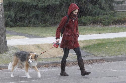 A woman walks her dog through a brief period of small hail in East Fort Garry, Thursday, October 25, 2012. (Trevor Hagan/WINNIPEG FREE PRESS)