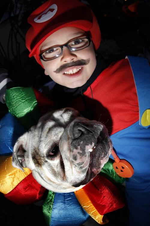 October 31, 2012 - 121031  -  Mario also known as Devon Mathias and his two year old bulldog Sammy were out trick or treating Thursday October 31, 2012.  John Woods / Winnipeg Free Press