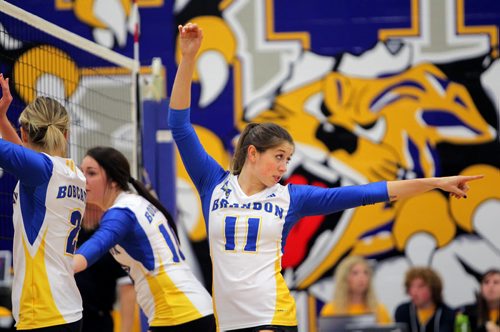 Brandon Sun 02112012 Chloe Reimer #11 of the Brandon Bobcats women's volleyball team signals during the Bobcats home opener against the Thompson Rivers University Wolfpack at the brand new Brandon University Healthy Living Centre on Friday evening. (Tim Smith/Brandon Sun)