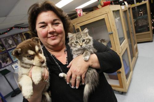 November 12, 2012 - 121112  -  Carla Martinelli-Irvine, Founder and Executive Director of Winnipeg Pet Rescue Shelter, is photographed in her shelter in Winnipeg Monday, November 12, 2012. Martinelli-Irvine says that the shelter is in dire need of assistance. John Woods / Winnipeg Free Press