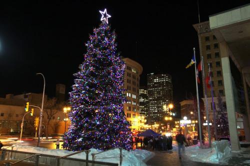 The giant Christmas tree at Winnipegs City Hall was illuminated Friday night with carols sung by St. Georges Anglican Church - November 16, 2012   (JOE BRYKSA / WINNIPEG FREE PRESS)
