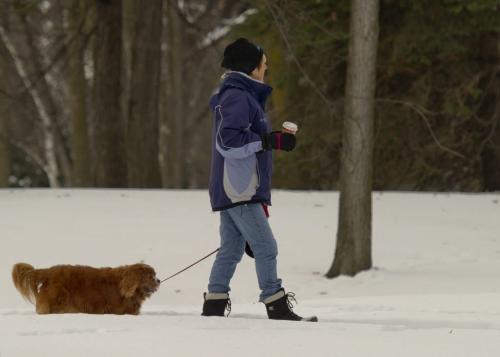 121117 Winnipeg - A woman walks her dog with a warm drink in her hand Saturday morning in St. Vital Park. DAVID LIPNOWSKI / WINNIPEG FREE PRESS