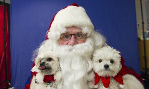 121118 Winnipeg - Winnipeg Free Press columnist Doug Speirs poses for a photo with Lola (left) and Bronx Sunday afternoon as many people brought in their pets to have the photo taken with Santa Paws in support of the Winnipeg Humane Society. DAVID LIPNOWSKI / WINNIPEG FREE PRESS