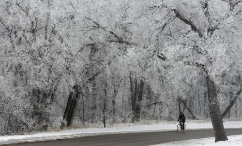 Stdup - Frost Fog coats the entire city for the third day in  a row , -7 , great winters day for a run or bike ride - in pic frost coated Assinibione River bank  seen  from  Academy Rd at Wellington Cres. at noon- KEN GIGLIOTTI /  WINNIPEG FREE PRESS /  Feb. 3 2012 ( kg2012yearend )