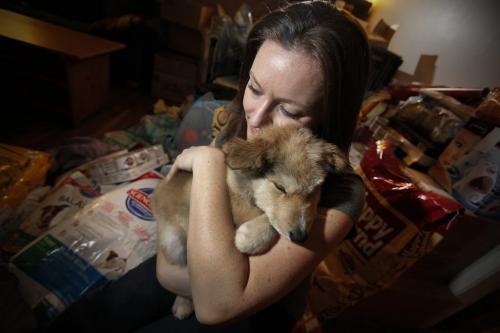 With donated items in the background Jill Britton, of Hull's Haven Border Collie Rescue, cuddles with 4 month old husky cross Leo who she just picked up from a flight from Norway House Sunday, November 25, 2012. (John Woods/Winnipeg Free Press)