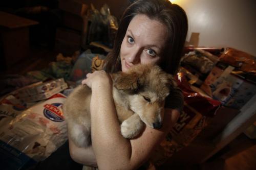 With donated items in the background Jill Britton, of Hull's Haven Border Collie Rescue, cuddles with 4 month old husky cross Leo who she just picked up from a flight from Norway House Sunday, November 25, 2012. (John Woods/Winnipeg Free Press)