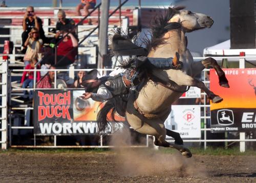 Logan Hudson, defending Canadian Saddle Bronc Rider takes a ride on a rocket launcher named "Tools Turn" Thursday evening at the Morris Stampede Grandstand Thursday afternoon. The Manitoba rodeo starts today and runs through Sunday. July 19, 2012 - (Phil Hossack / Winnipeg Free Press)