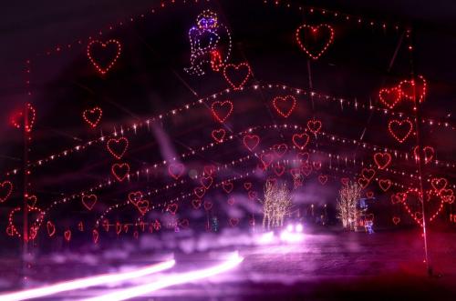 Vehicles make their way through a canopy of hearts  which is part of the 13th annual Canad Inns Winter Wonderland display which opened Dec 1 for the Christmas season.  Standup photo   Dec 01, 2012, Ruth Bonneville  (Ruth Bonneville /  Winnipeg Free Press)