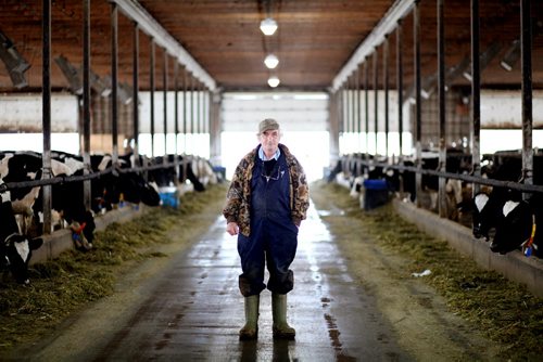 Brandon Sun 02122012 Dairy Farmer Fred Neil stands in a dairy barn on his farm north-east of Hartney, Man. on Sunday. Neil is still struggling with the aftermath of the devastating flood of 2011 along the Souris river.  (Tim Smith/Brandon Sun)