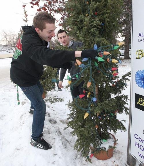Eleven high school students including these Gr 12 students Nathan Angus, right, and Sullivan Beamish from Vincent Massey Collegiate pitched in today to set up Light up a Life Christmas trees and lights at Brummitt-Feasby ALS house at 106 Kirby Drive  The Brummitt-Feasby house is the only home of its kind in North America which gives care and support to those living with ALS/Lou Gehrigs Disease-The official lighting ceremony for the trees will happen tonight at 6PM- Standup photo December 06, 2012   (JOE BRYKSA / WINNIPEG FREE PRESS)