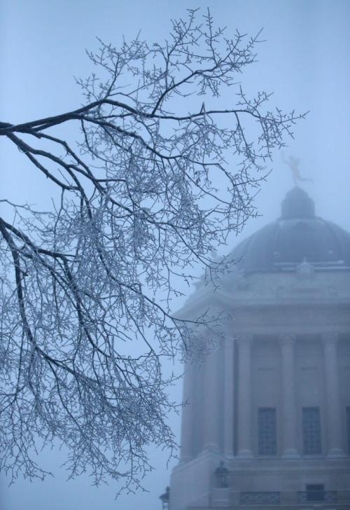 Hoar frost covers trees at the Legislative Building from overnight fog that still covered much of the city around 9am, Saturday, December 15, 2012. (TREVOR HAGAN/WINNIPEG FREE PRESS)