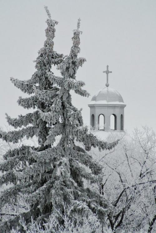 Saint Sava Serbian Orthodox Church on Talbot Avenue is framed by trees covered in hoarfrost Sunday morning.  121216 December 16, 2012 Mike Deal / Winnipeg Free Press