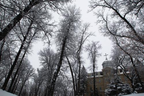 Winter Scene-Beautiful hoar frost and snow on the trees in front of St Marys Academy school in River Heights in Winnipeg Monday- Standup Photo- December 17, 2012   (JOE BRYKSA / WINNIPEG FREE PRESS)