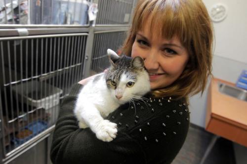 Gohn the stray cat held by Humane Society community outreach coordinator Pamela Wankling, Gohn was originally brought to the USA from Japan. The owners lost the cat on the way from Ohio to Alaska. December 21, 2012  BORIS MINKEVICH / WINNIPEG FREE PRESS