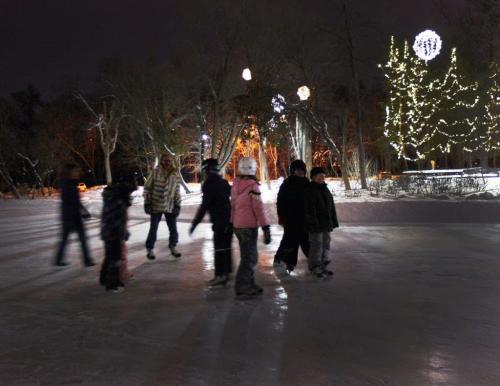 Kids from Ecole Golden Gate enjoy a skate Friday night at the Assiniboine Park duck pond which is now open for the sesaon  - Standup Photo- Dec 21, 2012   (JOE BRYKSA / WINNIPEG FREE PRESS)