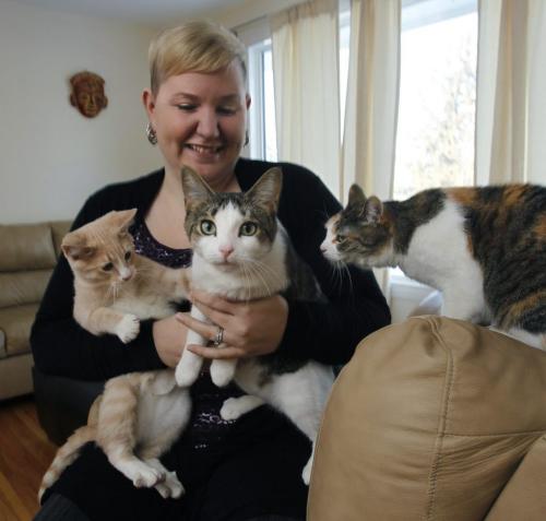 Charise Falk is a supporter of Craig Street Cats and issued a challenge on Facebook to get people to donate money. She is with the three cats from left Theodore, Miss Luna and Molly she is currently fostering.Meghan Franklin story (WAYNE GLOWACKI/WINNIPEG FREE PRESS) Winnipeg Free Press  Dec.31   2012