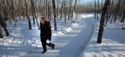 Evelyn Lundeen walks her favorite Ft Whyte Alive trail.....see her story for My Winnipeg..January 4, 2013 - (Phil Hossack / Winnipeg Free Press) ¤