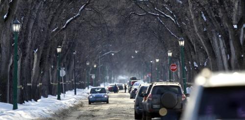 Street scene on Niagara St. For story on Winnipeg drivers may not have to further reduce their speed in residential neighbourhoods, Jen Skerritt story    . (WAYNE GLOWACKI/WINNIPEG FREE PRESS) Winnipeg Free Press  Jan. 7 2013