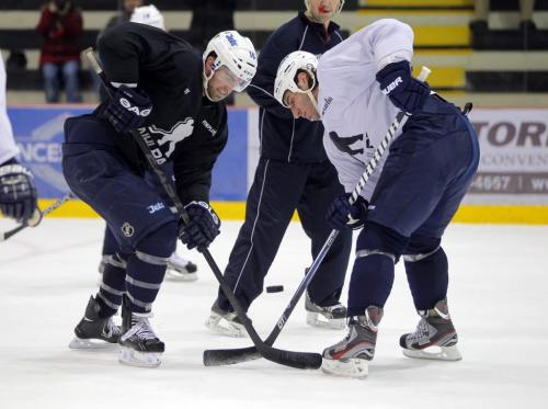 NHLPA players Andrew Ladd and Chris Thorburn face off in their skate at the MTS Iceplex. January 8, 2013  BORIS MINKEVICH / WINNIPEG FREE PRESS