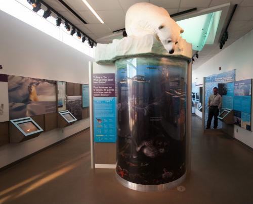 The new International Polar Bear Conservation Centre includes the new public information displays about polar bears. This is also part of the new Assiniboine Park Journey to Churchill exhibit opening in 2014. (Melissa Tait / WInnipeg Free Press)