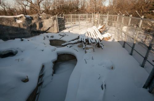 One of the old bear enclosures at the Assiniboine Park Zoo has been refurbished as part of the new International Polar Bear Conservation Centre. The moat is gone and in its place is a 4.5 metre fence. The new polar bear cub Hudson arriving from Toronto will possibly live here, as well at the other enclosures, until the Journey to Churchill exhibit is expected to open in 2014. (Melissa Tait / WInnipeg Free Press)