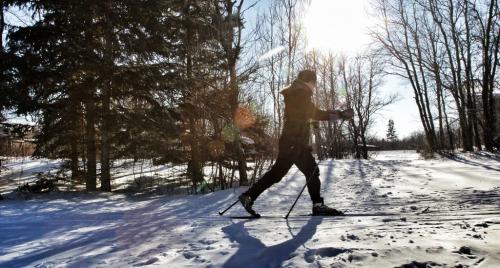 Genevieve Murchison takes to the trails on a bright and crisp Sunday morning at Birds Hill Park. 130120 January 20, 2013 Mike Deal / Winnipeg Free Press