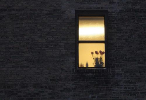 Only in Paris- Flowers can be seen sitting on a window sill of a frosty window on a upper of the Paris building in Winnipeg Wednesday morning  Standup Photo - January 30, 2013   (JOE BRYKSA / WINNIPEG FREE PRESS)