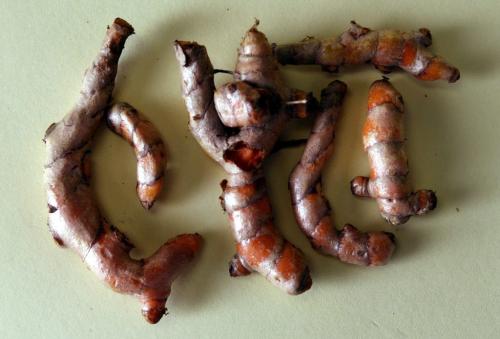 Mystery Food -   Turmeric Cu Nghe Kamin    -  Caroline Vesely -  KEN GIGLIOTTI / JAN. 30 2013 / WINNIPEG FREE PRESS